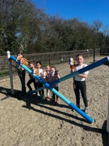 hobby horses